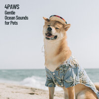 Quick Ocean Music - Cat Music & Sleeping Music For Dogs & Relaxing Music Therapy