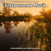 Entspannende Musik pt. 29 - Entspannungsmusik Bodo Steier & Schlafmusik & Entspannungsmusik