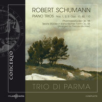 Trio No. 3 in G Minor, Op. 110: I. Bewegt, doch nicht zu rasch - Trio di Parma & Роберт Шуман