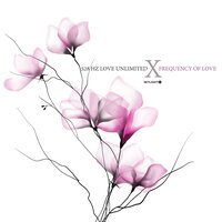 528 Hz Mindfulness - 528 Hz Love Unlimited