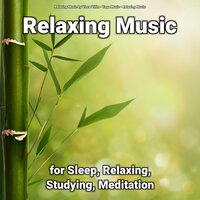Vitalizing Song - Relaxing music & Yoga Music & Relaxing Music by Vince Villin