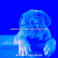 Background for Cute Puppies - Music for Dogs Moods
