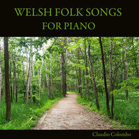 White Snowdon - Claudio Colombo