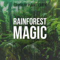 Soothing Light Jungle Rain - Sounds of Planet Earth