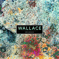 Venise Venise - Wallace