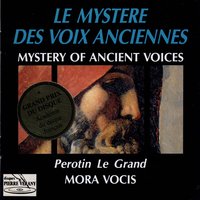 Alleluia video celos apertos 1 - Annie Paris & Norbert Vidal & Ensemble Mora Vocis & Françoise Slacik & Rebecca Bain & Ensemble Mora Vocis, Monique Avril, Rebecca Bain, Françoise Slacik, Annie Paris, Norbert Vidal