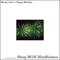 Empowerment of Mental Wellness in the Soundscapes of Nature's Tranquility - Sleep BGM Mindfulness