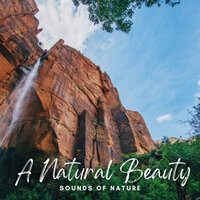 Distant Stream Sounds - Relax in Nature & JBE Nature Sounds & The Nature Soundscapes