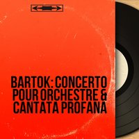 Cantata profana "A kilenc csodaszarvas", Sz. 94: II. Andante - Wiener Symphoniker & Wiener Kammerchor & Heinrich Hollreiser & Murray Dickie & Murray Dickie, Edmond Hurshell, Wiener Kammerchor, Wiener Symphoniker, Heinrich Hollreiser & Edmond Hurshell & Бела Барток