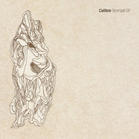 Stranger - Calibre