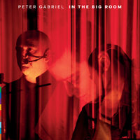 Shock the Monkey - Peter Gabriel