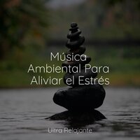 En Armonía - Meditación Maestro & Musica Para Dormir Profundamente & Musica relajante