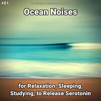 Ocean Noises Part 74 - shoreline sounds & Nature Sounds & Ocean Sounds