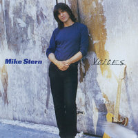 Wishing Well - Mike Stern