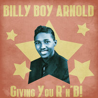 No, No, No, No, No - Billy Boy Arnold