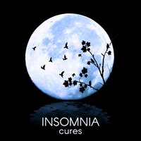 Delta Brain Waves - Stages of Sleep Music Universe