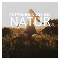 Entspannender Tropischer Strand - Entspannungsmusik Dream