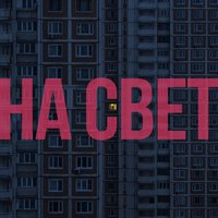 истоптанные вансы - Дима Бамберг