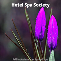 Stylish Ambience for Relaxing Vacations - Hotel Spa Society