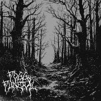 Internal Bleeding - Foggy Funeral