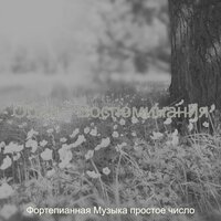 Мечты (Обед) - Фортепианная Музыка простое число