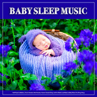 Newborn Sleep Aid with Forest Sounds - Baby Lullaby & Baby Sleep Music & Baby Bedtime Lullaby