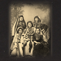 Shamali - Sulisizer & DINA AMIN & Nada Abbass