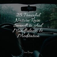 Sidewalk Rain - White Noise Baby Sleep & Active Baby Music Workshop & Unforgettable Paradise SPA Music Academy