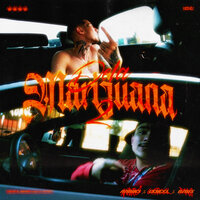 DELA MARIJUANA 2 - Andrei & CERCEL & DZWS