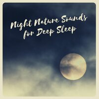 Fall Asleep Easily - Sleeping Culture
