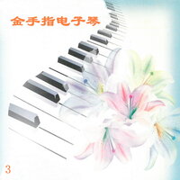 往事只能回味 - 新时代乐队