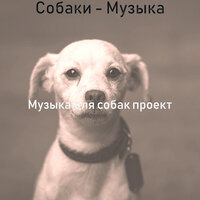 Видения (Спящие собаки) - Музыка для собак проект