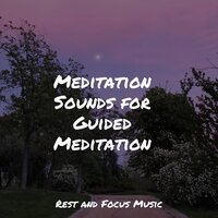 Summer Zen - Guided Meditation & Buddhist Meditation Music Set & White Noise for Babies