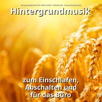 Lernmusik - Entspannungsmusik & Schlafmusik & Entspannungsmusik für tiefen Schlaf