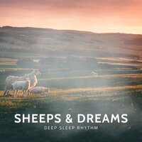 Silent Meadow Mist - Deep Sleep Rhythm