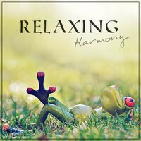 Mindfulness Meditation - Relax Time Universe