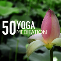 Spirit of Harmony - Yoga Meditation