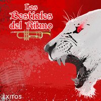 Amor de Colegio - Los Bestiales del Ritmo