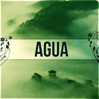 Musica para Meditar (Piano) - Academia de Música para el Alma