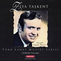 Bir İnat Yüzünden - Ziya Taşkent