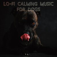 Simple Lofi - Music for Calming Dogs & Sleepy Dogs & Relaxing Music for Dogs
