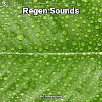 Regen Sounds, pt. 31 - Regengeräusche ohne Musik & Regengeräusche & Naturgeräusche