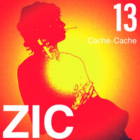 Tout le contraire - Zic