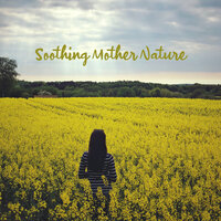 Calm Paradise - Gentle Music Sanctuary & Serenity Nature Sounds Academy