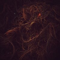 Nuit - Queen of the Worms