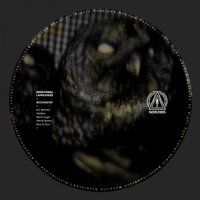 The Raven - Irrational Language