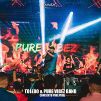 Que Rico Estar En La Playa (En Vivo) - Toledo & Pure Vibez Bnad
