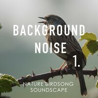 Nature Birdsong Soundscape, Pt. 3 - Thomas O'Reilly