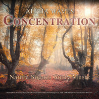 Study Music Station - Binaural Beats Study Music & Music For Studying & Study Alpha Waves