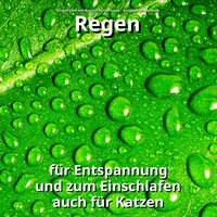 Natürliche Geräusche gegen Tinnitus - Einschlafen mit Regen & Schlafmusik & Entspannungsmusik